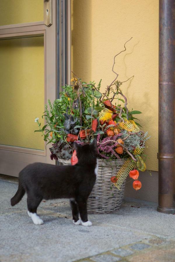 Pension Raupennest Mit Blockhaussauna バウツェン エクステリア 写真